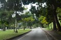 20101202_103508 D3